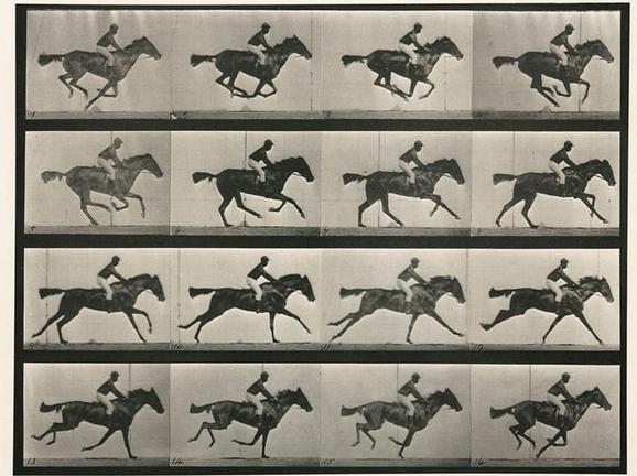 Eadweard Muybridge